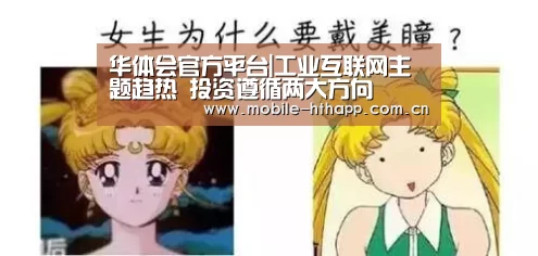华体会官方平台|工业互联网主题趋热 投资遵循两大方向(图3) 华体会登陆