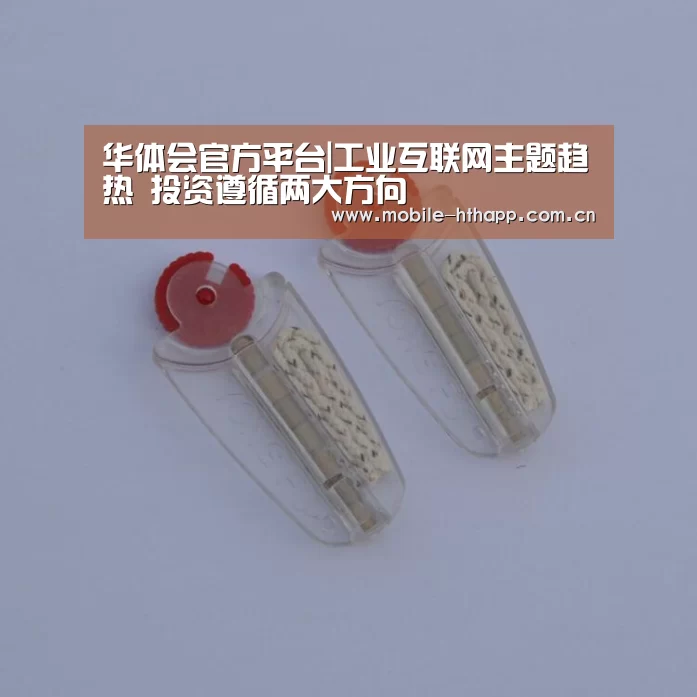 华体会官方平台|工业互联网主题趋热 投资遵循两大方向