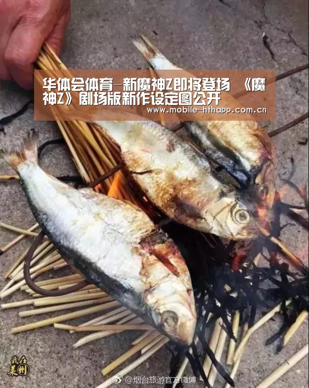 华体会官方平台