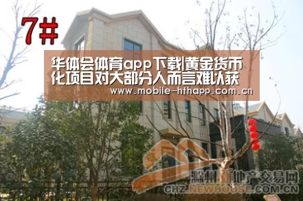 华体会体育app下载|黄金货币化项目对大部分人而言难以获利(图1) 华体会官方平台